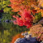 亀山湖の紅葉2018!見ごろの時期はいつ?周辺おすすめグルメも紹介!