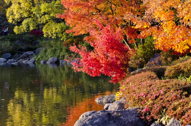 亀山湖の紅葉2018!見ごろの時期はいつ?周辺おすすめグルメも紹介!