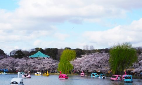 上野恩賜公園の桜まつり2018のライトアップや屋台情報は?見どころ満載の花見スポット!
