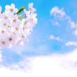 山北鉄道公園の桜まつり2018の日程や開花情報は?よさこいイベントも紹介!
