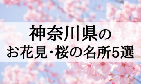2018年神奈川のお花見・桜の名所5選!桜まつりを楽しもう!
