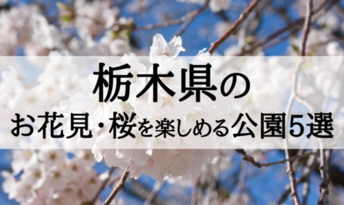 2018年栃木のお花見・桜を楽しめる公園5選を見ごろ順に紹介!