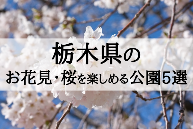 2018年栃木のお花見・桜を楽しめる公園5選を見ごろ順に紹介!