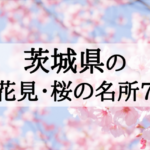 2018年茨城のお花見・桜の名所7選!桜まつりの開催順に紹介!