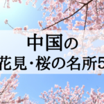 2018年中国地方のお花見・桜の名所5選!見ごろとおすすめポイントを紹介!